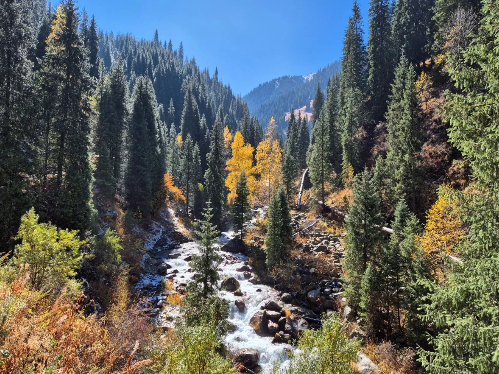 A mountain stream rushing through the autumn forest of Alma-Arasan gorge