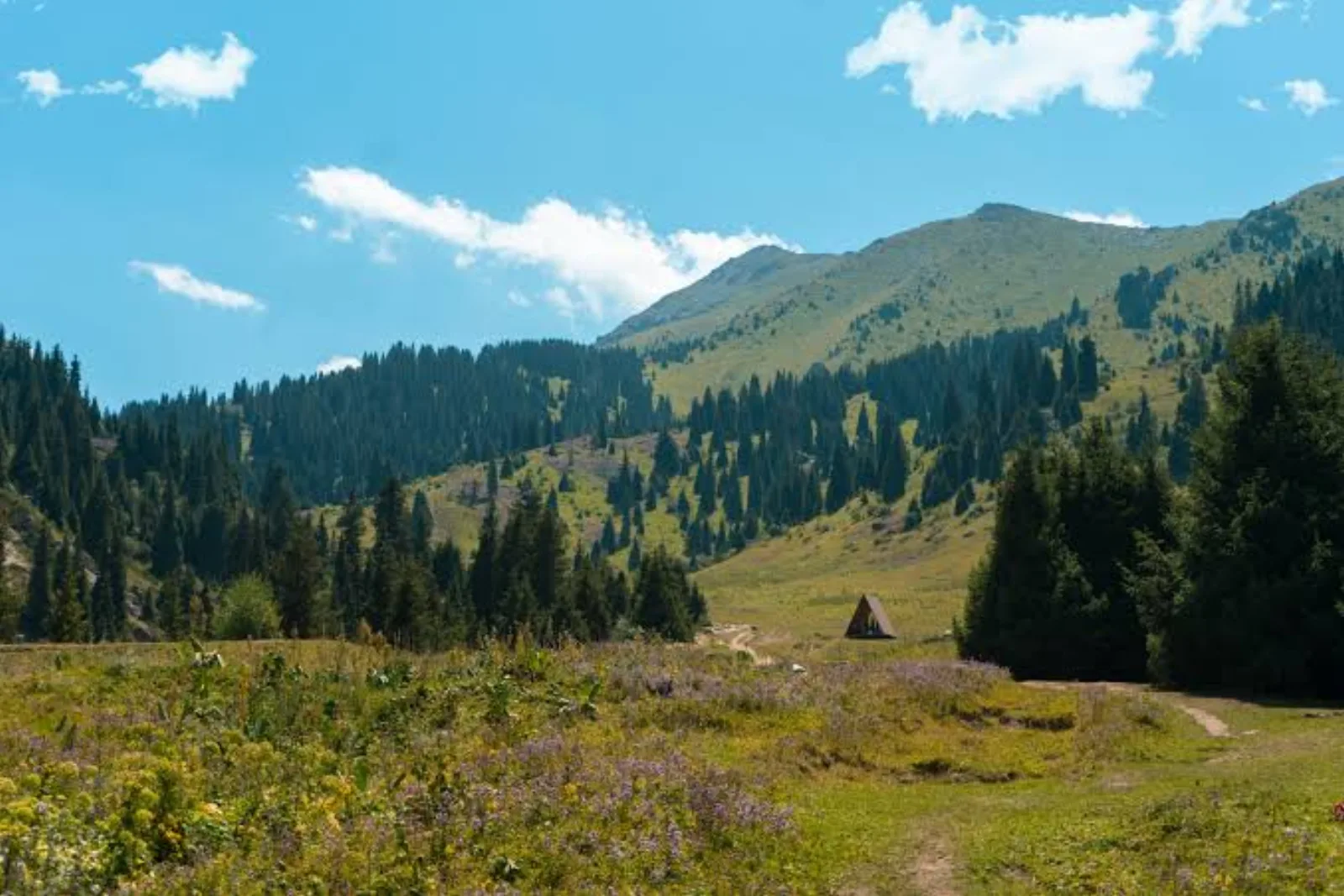 A green mountain valley with a small wooden cabin near Alma-Arasan