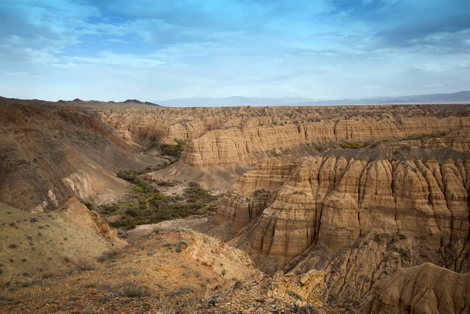 Moon Canyon's sun-carved badlands ridges stretching to the horizon