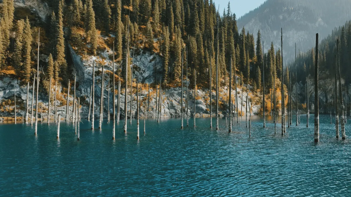 Kolsai Lake surrounded by pine forest and mountains