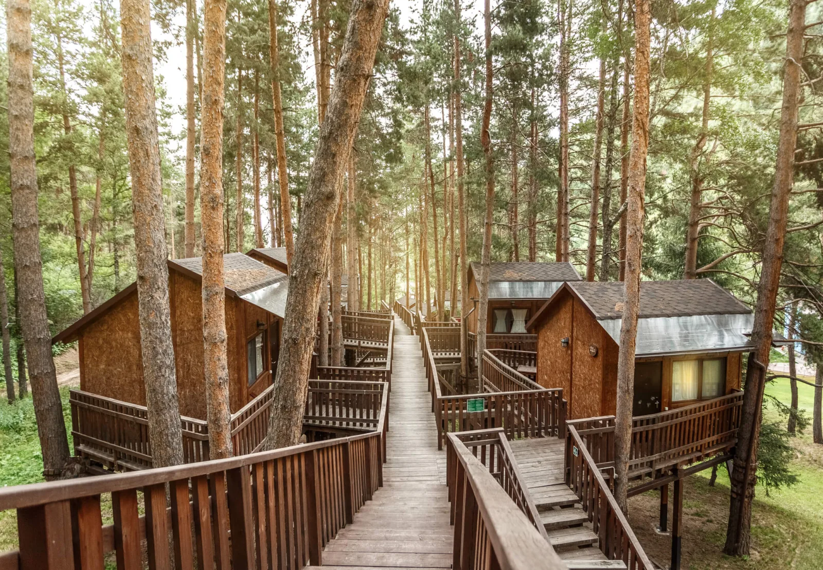 A wooden boardwalk winding between forest cabins at Oi-Qaragai